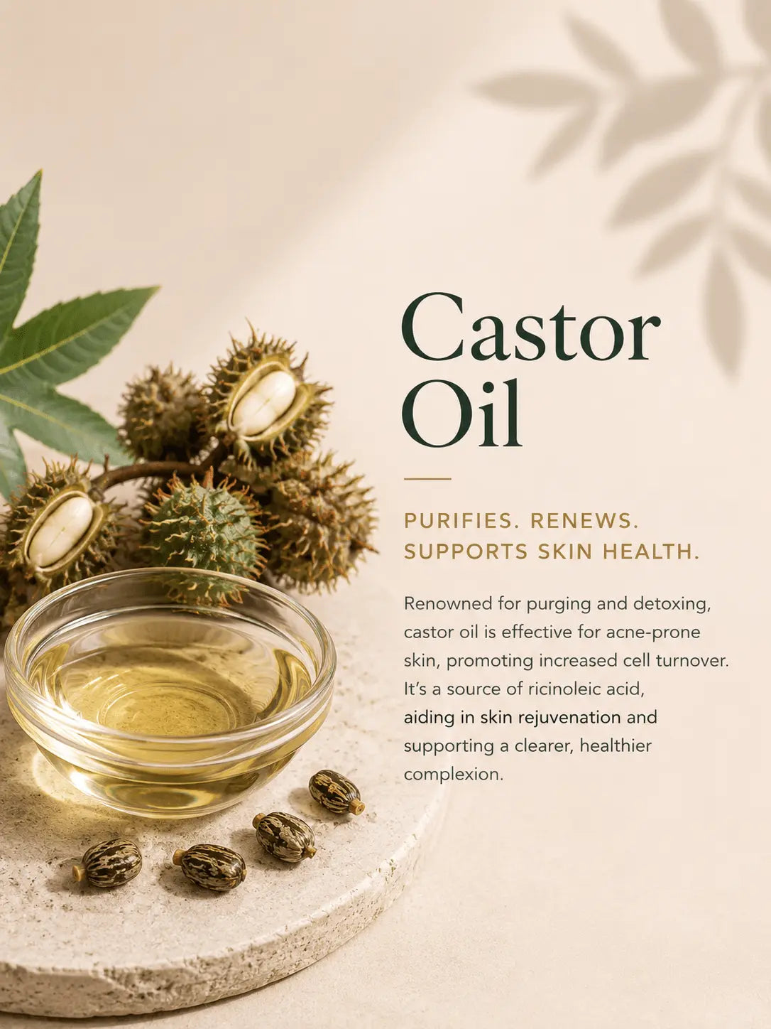 Urban Tree castor oil ingredient image for organic soap, skin cleansing and revitalising care
