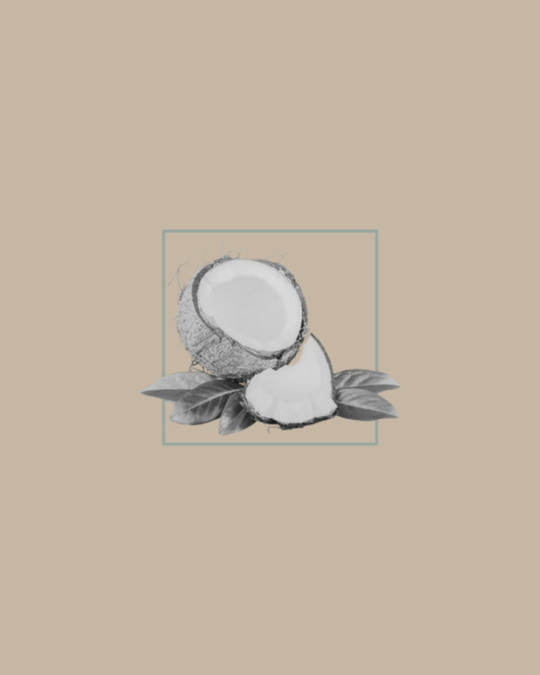 Urban Tree coconut extract illustration – natural ingredient used in organic soaps and skincare on beige background