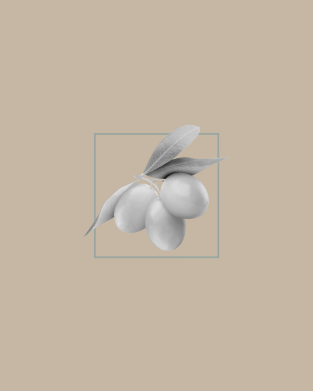 Urban Tree olive extract illustration – nourishing natural ingredient for organic soaps and skincare on beige background