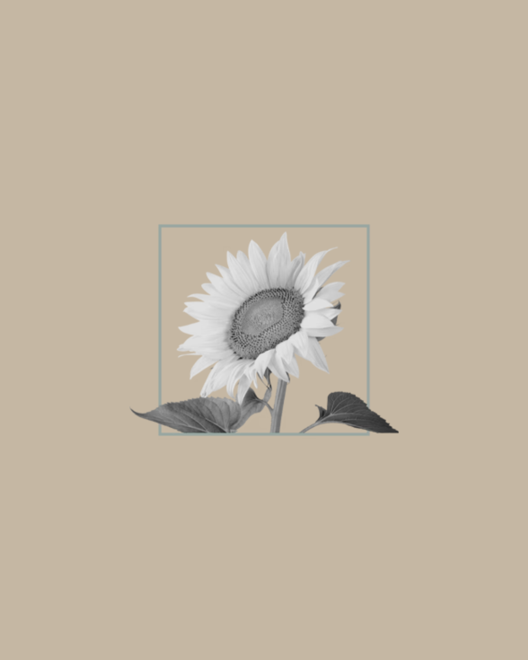 Urban Tree sunflower oil illustration – hydrating natural ingredient for organic soaps and skincare on beige background